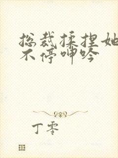 总裁揉捏她两乳不停呻吟