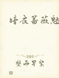 暗夜蔷薇魅
