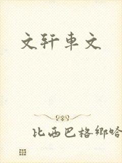 文轩车文