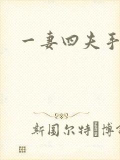 一妻四夫手记