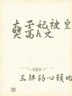 太子妃被皇上c哭高h文