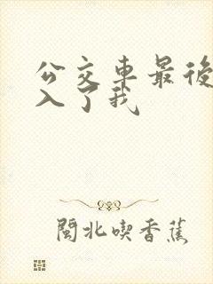 公交车最后一排入了我