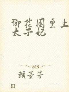 御花园皇上撞着太子妃