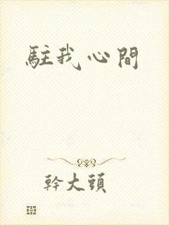 驻我心间