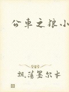 公车之狼小说