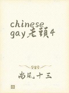 chinesegay老头4