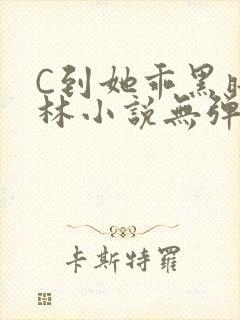 C到她乖黑暗森林小说无弹窗