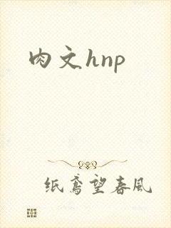 肉文hnp