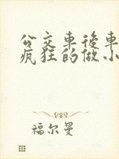 公交车后车座的疯狂的做小