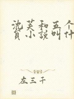 沈芙和五个消防员小说叫什么