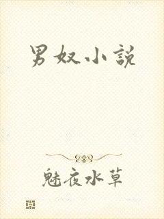 男奴小说
