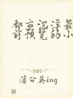 都市沉浮最快超前预览的小说3030