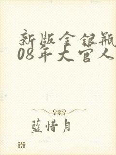 新版金银瓶2008年大官人