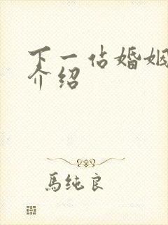 下一站婚姻剧情介绍