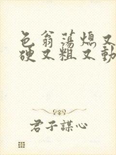 色翁荡熄又大又硬又粗又动态图