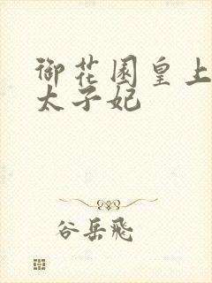 御花园皇上撞着太子妃