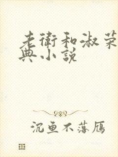 老卫和淑荣的经典小说