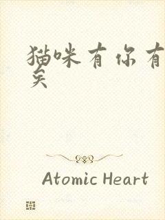 猫咪有你有我足矣