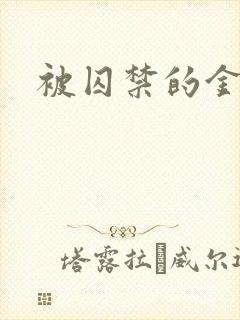 被囚禁的金丝雀