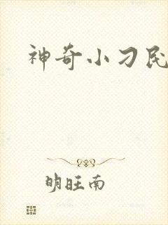神奇小刁民