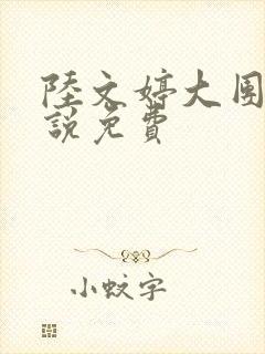 陆文婷大团圆小说免费