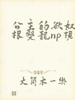 公主的欲奴h四根双龙np视频