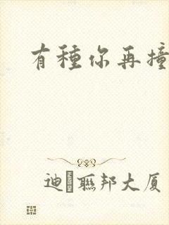 有种你再撞一下