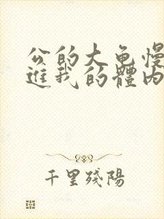 公的大龟慢慢挺进我的体内视频