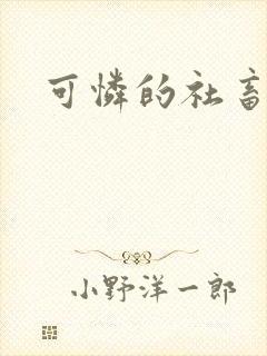 可怜的社畜小说