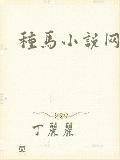 种马小说网