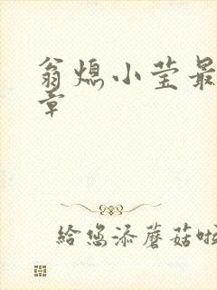 翁熄小莹最新节章