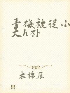 青梅被从小摸到大h补