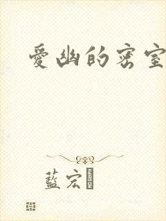 爱幽的密室小说