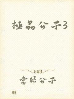 极品公子3