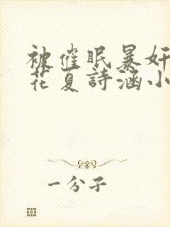 被催眠暴奸的校花夏诗涵小说