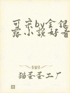可宋by金银花露小说好看吗
