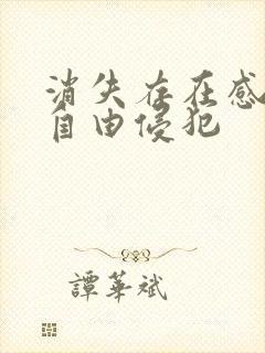 消失存在感消失自由侵犯