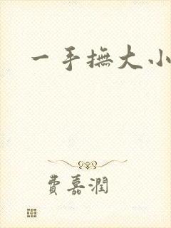 一手抚大小说