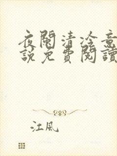 夜阑清冷意欢小说免费阅读