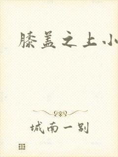 膝盖之上小说