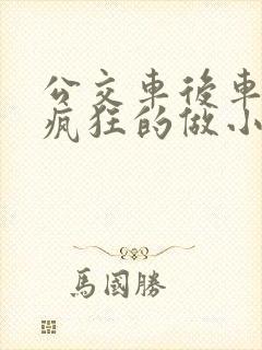 公交车后车座的疯狂的做小