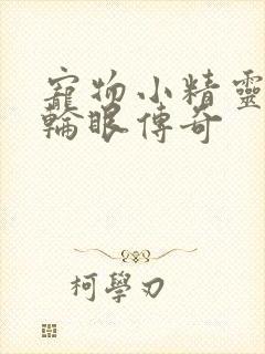 宠物小精灵之写轮眼传奇