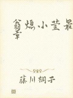 翁熄小莹最新节章