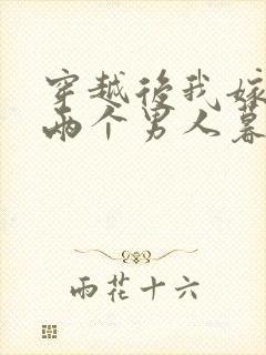 穿越后我嫁给了两个男人暮色酒歌