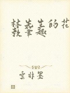 林先生的花式管教笔趣