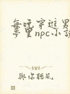 每晚穿进男神的梦里npc小说