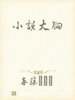小说大胸