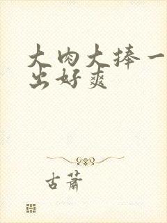 大肉大捧一进一出好爽