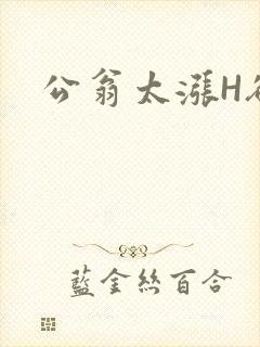 公翁太涨H欲渴