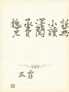 魏承泽小说全文免费阅读无弹窗笔趣